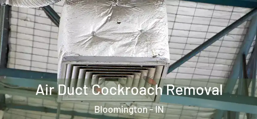 Air Duct Cockroach Removal Bloomington - IN
