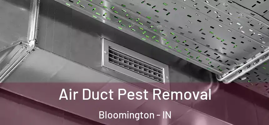 Air Duct Pest Removal Bloomington - IN