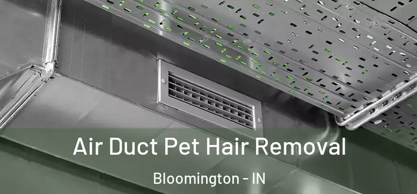 Air Duct Pet Hair Removal Bloomington - IN