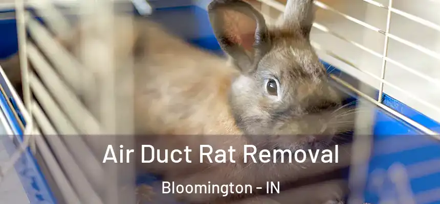 Air Duct Rat Removal Bloomington - IN