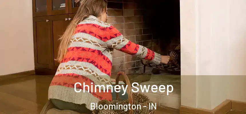 Chimney Sweep Bloomington - IN