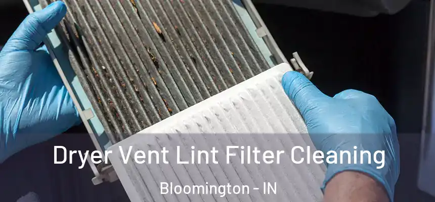 Dryer Vent Lint Filter Cleaning Bloomington - IN