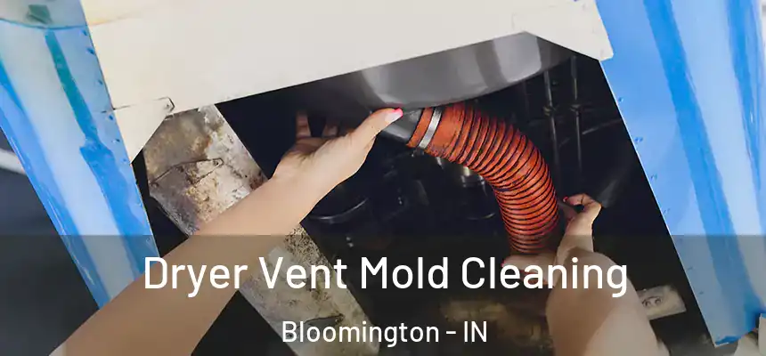 Dryer Vent Mold Cleaning Bloomington - IN