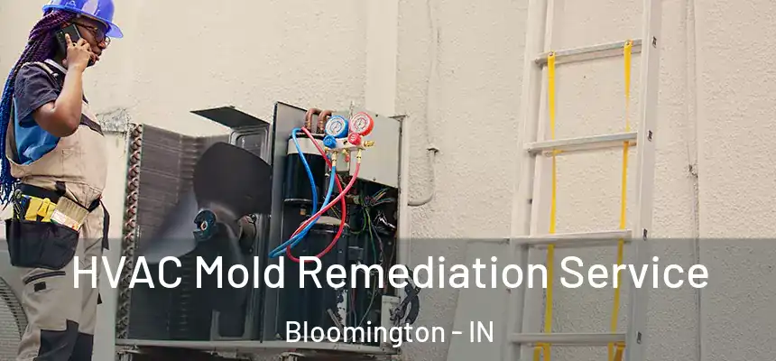 HVAC Mold Remediation Service Bloomington - IN