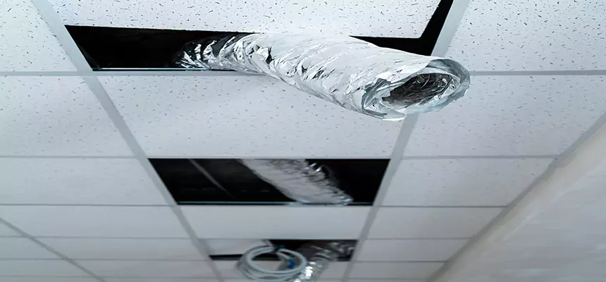 Affordable HVAC Sanitizing After Pest Removal in Bloomington