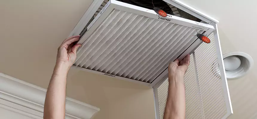 Our Insect Removal from Air Ducts Services in Bloomington, IN