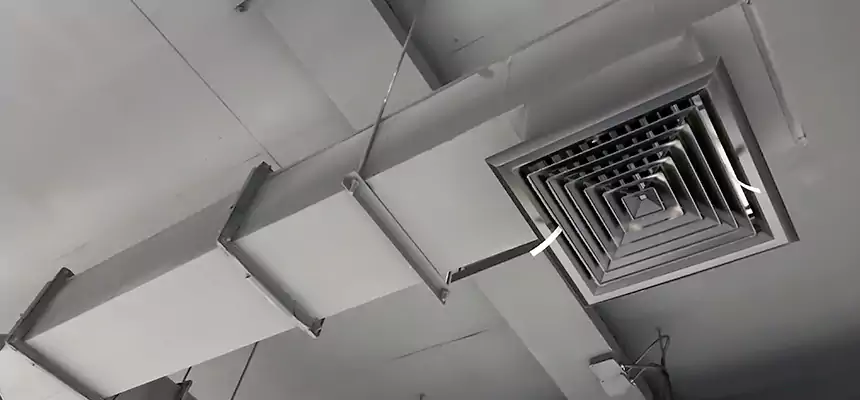 Our Rodent Droppings In Vents Services in Bloomington, IN