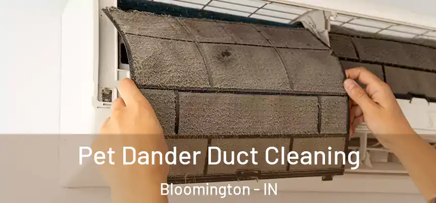Pet Dander Duct Cleaning Bloomington - IN
