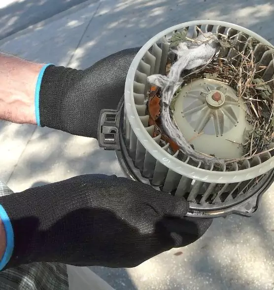 About Air Duct Mice Removal in Bloomington, IN