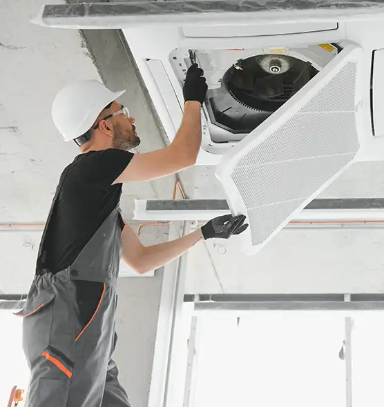 About Air Duct Rodent Removal in Bloomington, IN