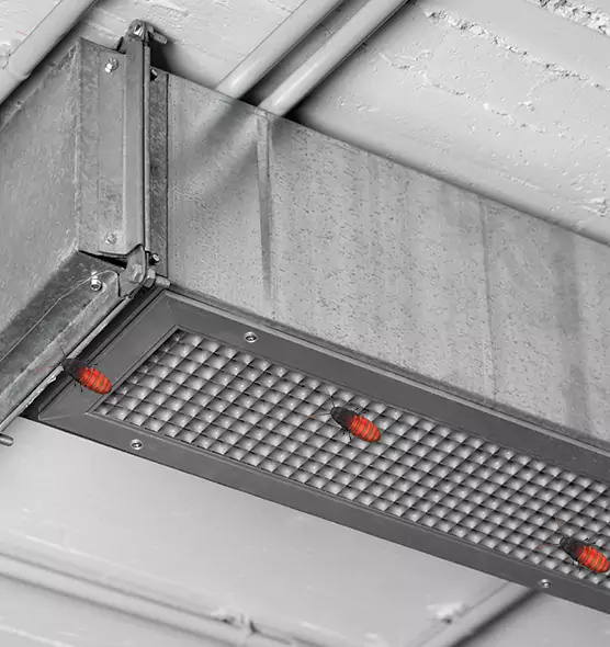 Affordable Insect Removal from Air Ducts in Bloomington, IN