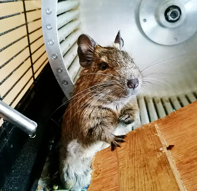 Why Homeowners & Businesses Trust Us Bloomington, IN?