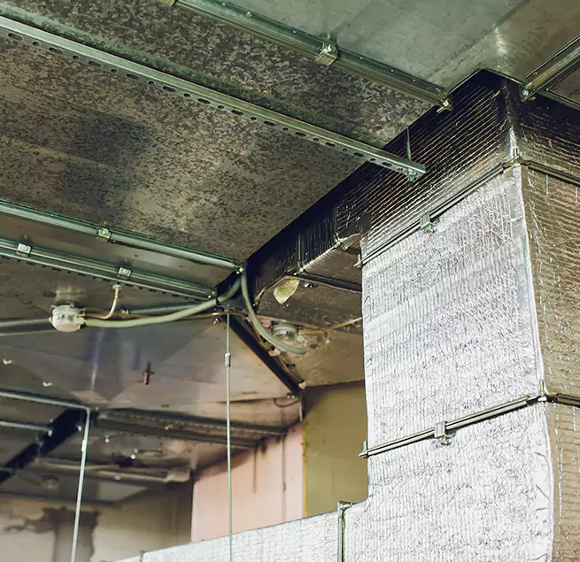 Why Homeowners & Businesses Trust Us in Bloomington, IN?